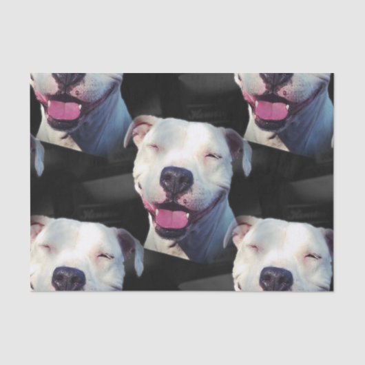 スマイル 薄葉紙 (正面)