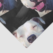 スマイル 薄葉紙 (詳細)