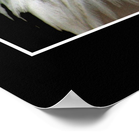 スマイルINFIDELと言えば ポスター (角)