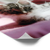 スマグ子猫 ポスター (角)