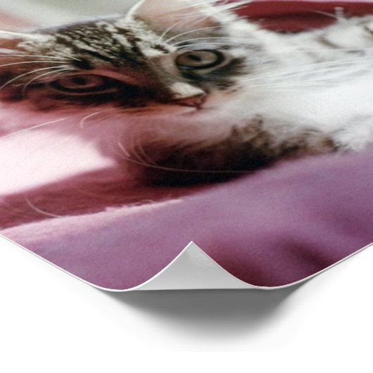 スマグ子猫 ポスター (角)