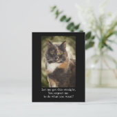 スマグ子猫 – 何が欲しい？ ポストカード (スタンド正面)