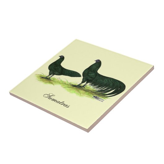 スマトラの黒い鶏 タイル (側面)