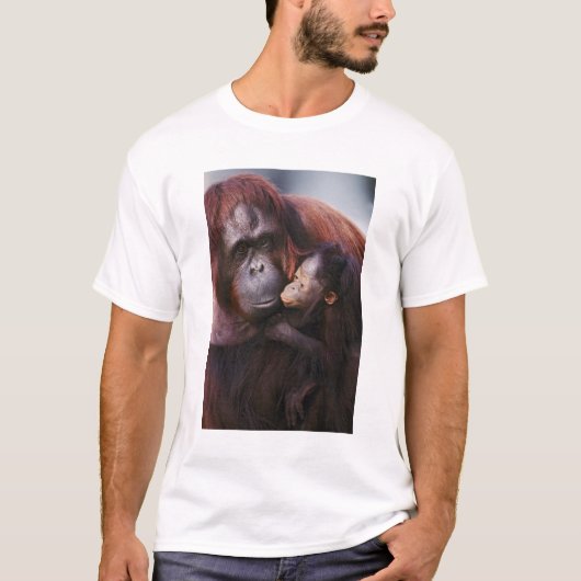 スマトラオランウータンのメスと赤ちゃん、ポンゴ Tシャツ (正面)