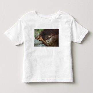 スマトラオランウータン, Pongo pygmaeus トドラーTシャツ