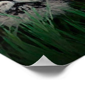 スマトラタイガーアイズポスター ポスター (角)