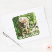 スマトラタイガーステッカー スクエアシール (封筒)