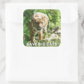 スマトラタイガーステッカー スクエアシール (バッグ)