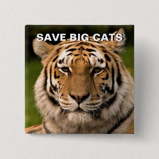 スマトラタイガーポートレート 缶バッジ (正面)