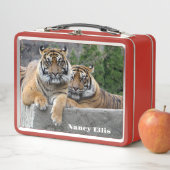 スマトラトラの皮 メタルランチボックス (インサイチュ)