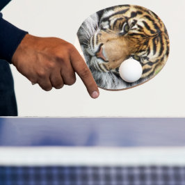 スマトラトラ野生動物写真 卓球ラケット