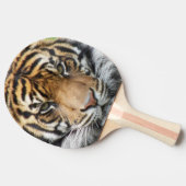 スマトラトラ野生動物写真 卓球ラケット (横)