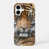 スマトラトラ野生動物写真 iPhone 16ケース (裏面)