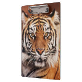 スマトラトラ クリップボード (左)