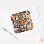 スマトラトラ スクエアシール (封筒)