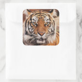 スマトラトラ スクエアシール (バッグ)