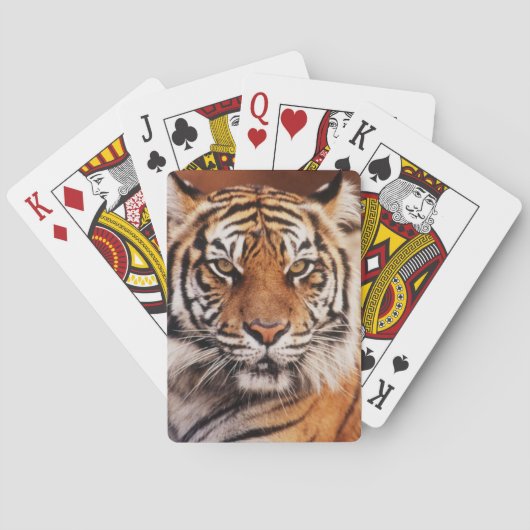 スマトラトラ トランプ (裏面)