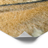 スマトラトラ ポスター (角)