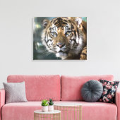 スマトラトラ (Panthera tigris sumatrae) キャンバスプリント (インサイチュ (リビング))