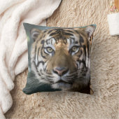 スマトラトラ (Panthera tigris sumatrae) クッション (ブランケット)