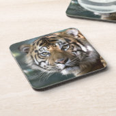 スマトラトラ (Panthera tigris sumatrae) コースター (左側)
