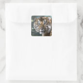 スマトラトラ (Panthera tigris sumatrae) スクエアシール (バッグ)