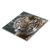スマトラトラ (Panthera tigris sumatrae) タイル (側面)