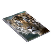 スマトラトラ (Panthera tigris sumatrae) ノートブック (右側)