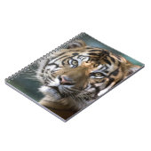 スマトラトラ (Panthera tigris sumatrae) ノートブック (左側)