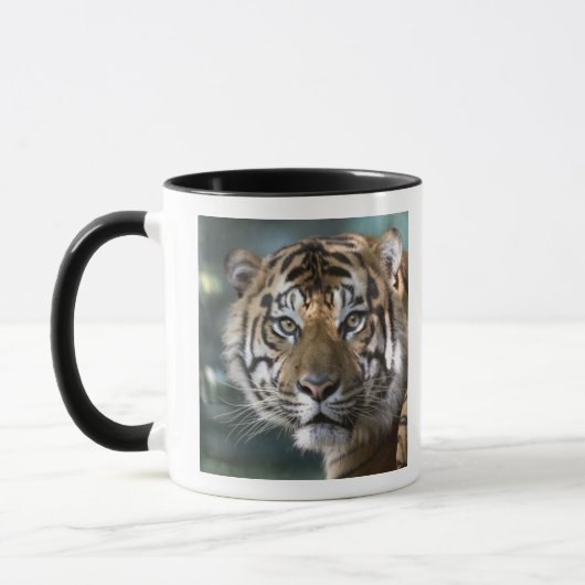 スマトラトラ (Panthera tigris sumatrae) マグカップ (左)