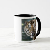 スマトラトラ (Panthera tigris sumatrae) マグカップ (正面右)