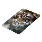 スマトラトラ (Panthera tigris sumatrae) マグネット (左側)