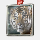 スマトラトラ (Panthera tigris sumatrae) メタルオーナメント (左)