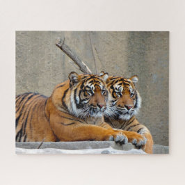 スマトラーン・タイガー。大きな猫。 ジグソーパズル