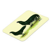 スマトラ黒鶏 マグネット (左側)