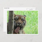 スマトラ ポストカード (正面/裏面)