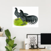 スマトラ：青ペア ポスター (ホームオフィス)