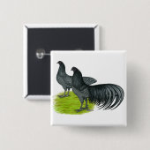 スマトラ：青ペア 缶バッジ (正面&裏面)