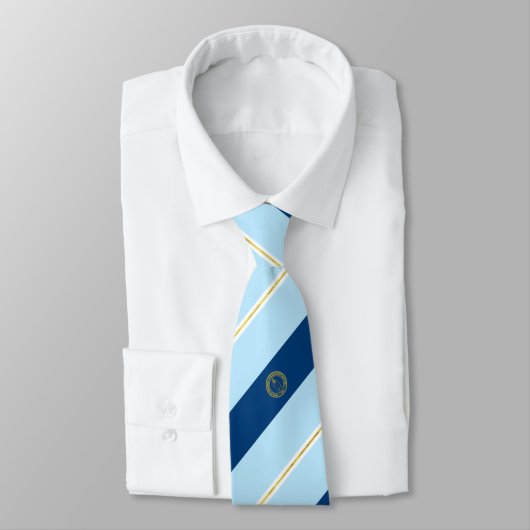 スミスタウン(ニューヨーク)市旗ネックタイ ネクタイ (タイ)