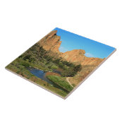 スミスロック州パークOR タイル (側面)