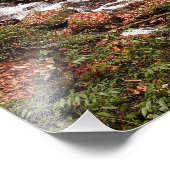 スミス・クリーク フォトプリント            (角)