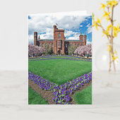 スミソニアン城およびHauptの庭カード カード (黄色い花)