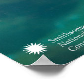 スミソニアン |アシカ ポスター (角)