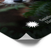 スミソニアン |レッサーパンダ ポスター (角)