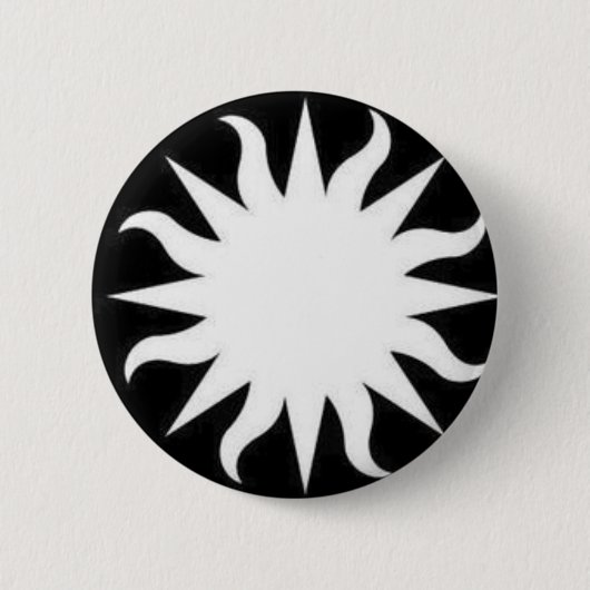 スミソニアンPin 缶バッジ (正面)