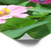 スミティズバタフライワン ポスター (角)