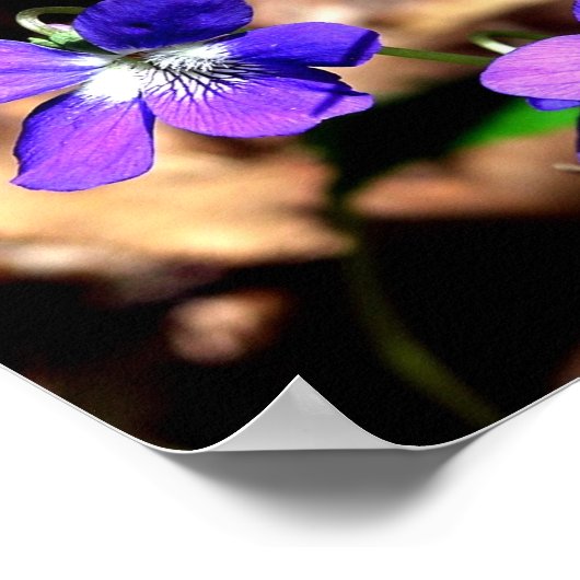 スミレが苦手 ポスター (角)