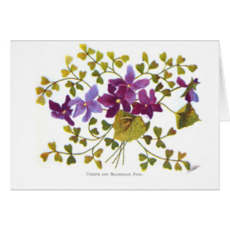 スミレとメイデンヘアシダ