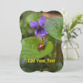 スミレの甘い花のラディバグ シーズンカード (スタンド正面)