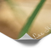 スミレの花のスパイダーウォルトのポスター ポスター (角)